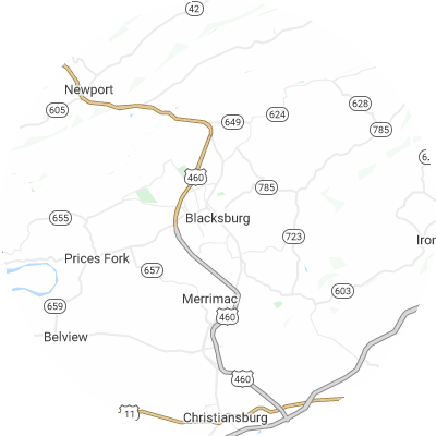Best pest control companies in Blacksburg, VA map
