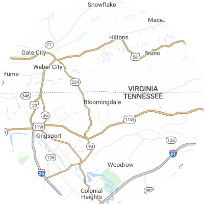 Best tree removal companies in Bloomingdale, TN map
