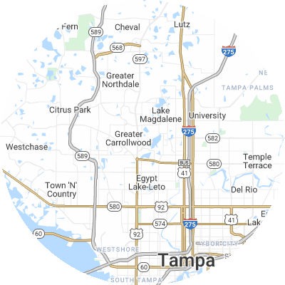 Best moving companies in Carrollwood, FL map