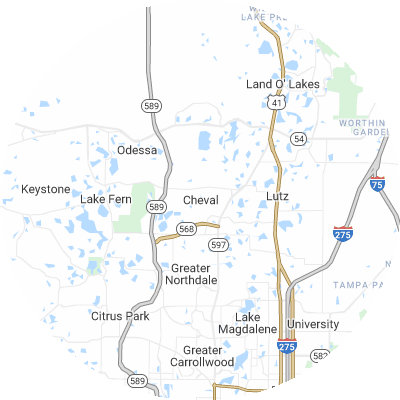 Best moving companies in Cheval, FL map