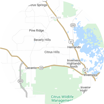 Best concrete companies in Citrus Hills, FL map