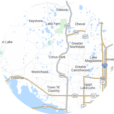 Best roofing companies in Citrus Park, FL map