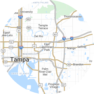 Best tree removal companies in East Lake-Orient Park, FL map