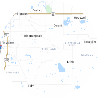 Best lawn care companies in Fish Hawk, FL map