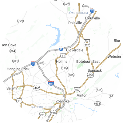 Best gutter cleaners in Hollins, VA map