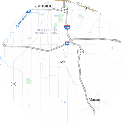 Best lawn care companies in Holt, MI map