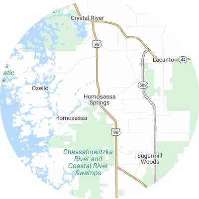 Best pest control companies in Homosassa Springs, FL map