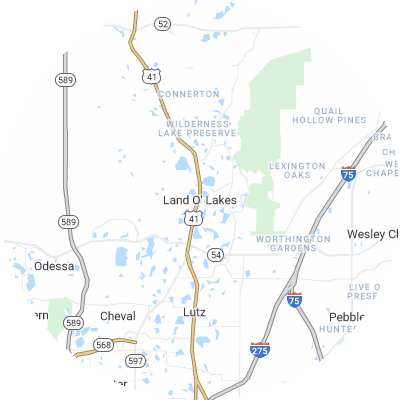 Best gutter cleaners in Land O' Lakes, FL map