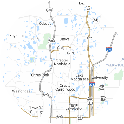Best pest control companies in Northdale, FL map