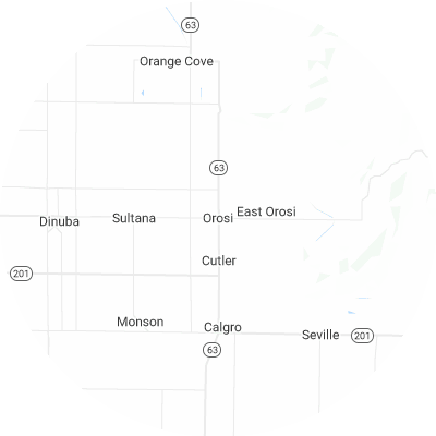 Best pest control companies in Orosi, CA map