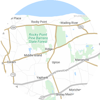 Best tree removal companies in Ridge, NY map