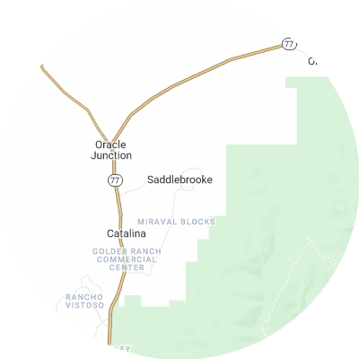 Best pest control companies in Saddlebrooke, AZ map