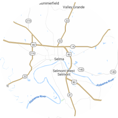 Best pest companies in Selma, AL map