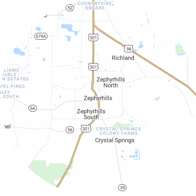 Best pest control companies in Zephyrhills, FL map